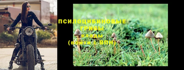 гидропоника Новозыбков