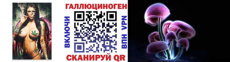 блэк спрут tor  Калининец  Галлюциногенные грибы Cubensis 